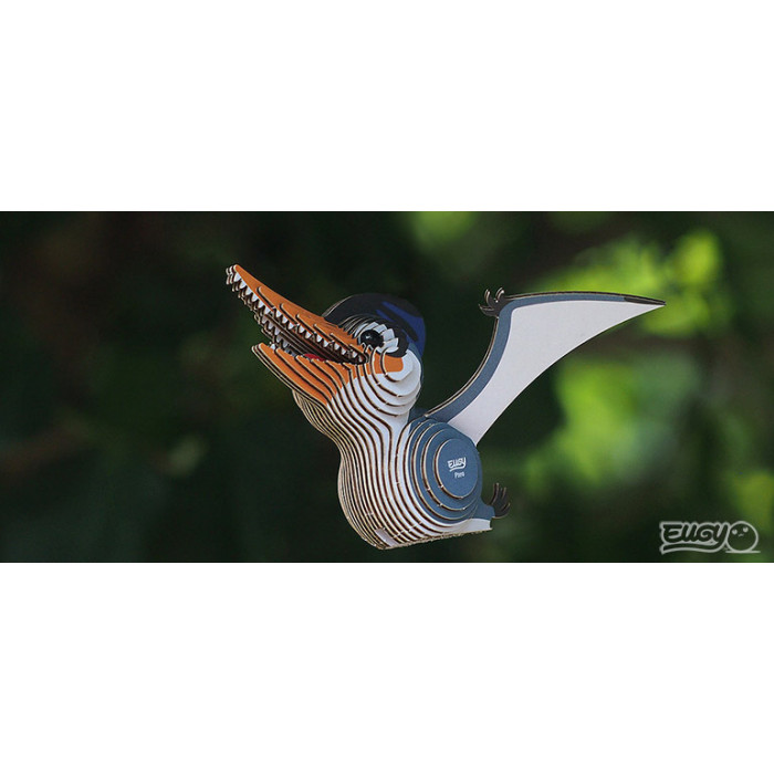 Eugy Ptero | DODOLAND DODOLAND DODOLAND