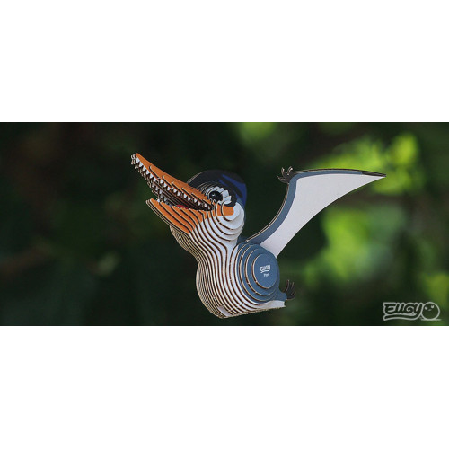 Eugy Ptero | DODOLAND DODOLAND DODOLAND
