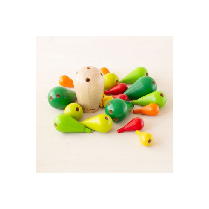 Cactus Equilibrista | PLANTOYS PlanToys PLANTOYS