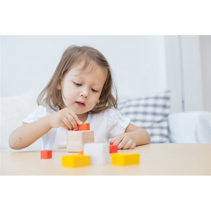 Cubos Fracción | PLANTOYS PlanToys PLANTOYS