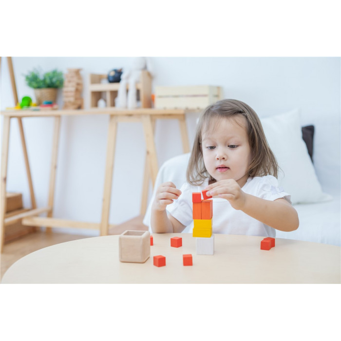 Cubos Fracción | PLANTOYS PlanToys PLANTOYS