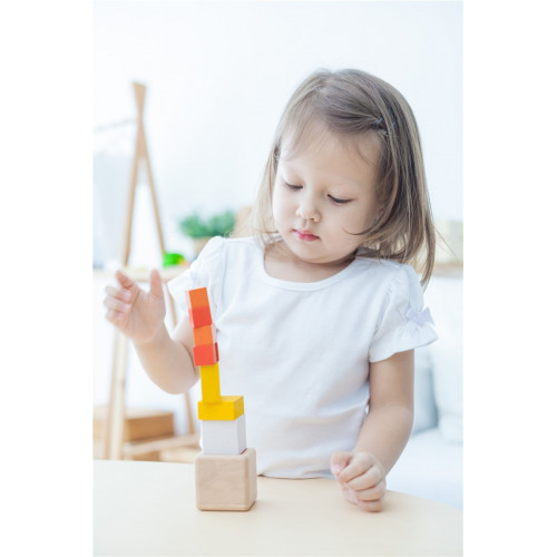 Cubos Fracción | PLANTOYS PlanToys PLANTOYS
