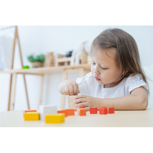 Cubos Fracción | PLANTOYS PlanToys PLANTOYS