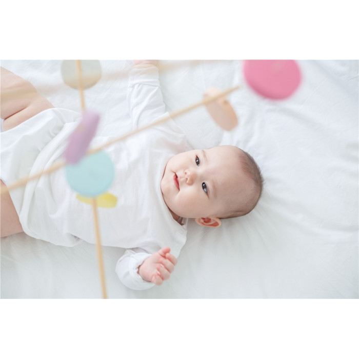Móvil Círculos Madera Color Pastel | PLANTOYS PlanToys PLANTOYS