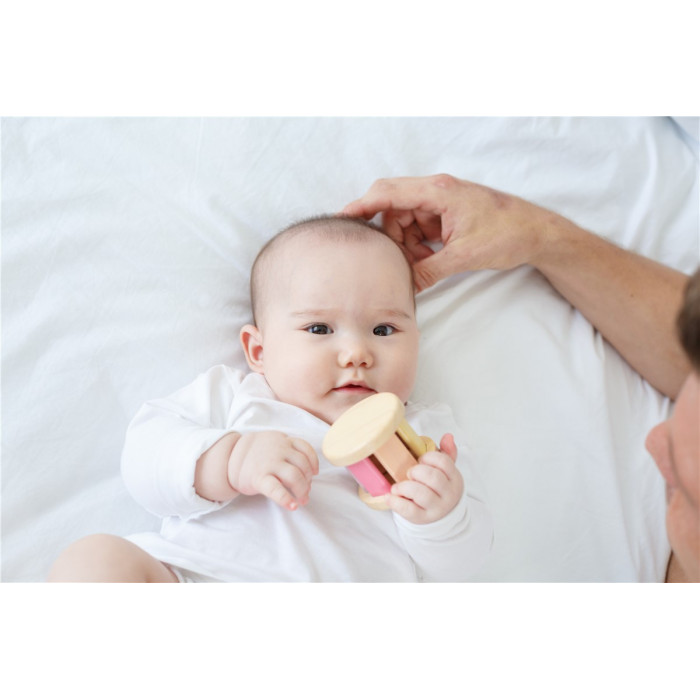 Sonajero Roller Madera Color Pastel | PLANTOYS PlanToys PLANTOYS