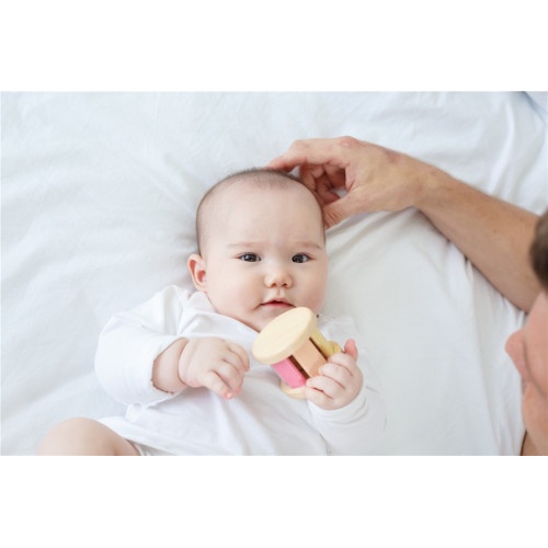 Sonall Roller Fusta Color Pastel | PLANTOYS PlanToys PLANTOYS