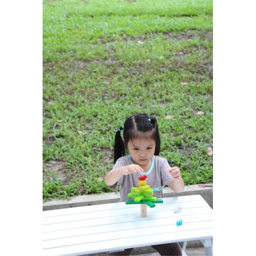 Árbol de equilibrio | PLANTOYS PlanToys PLANTOYS