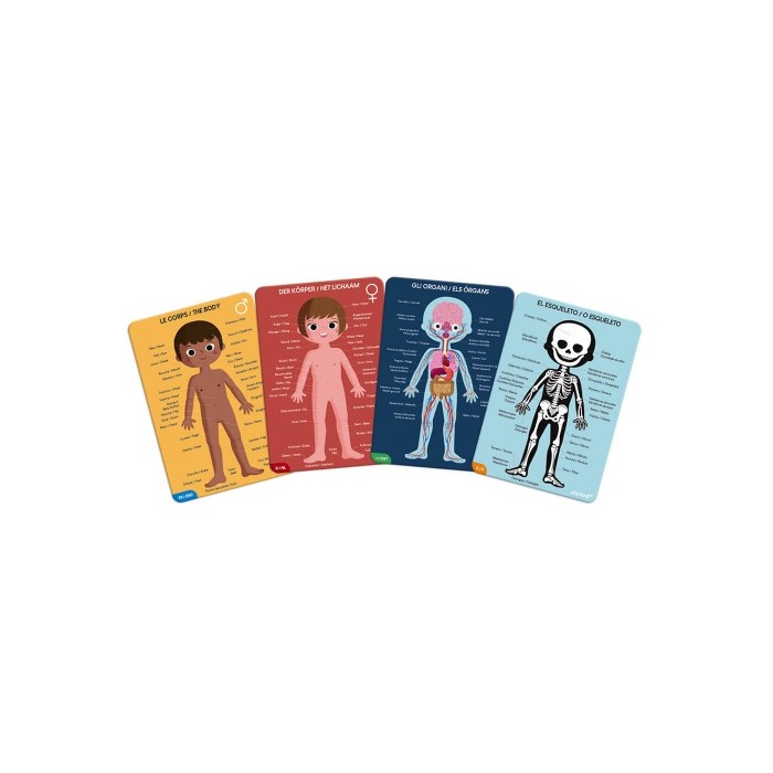 Puzzle Educativo Cuerpo Humano | JANOD  JANOD