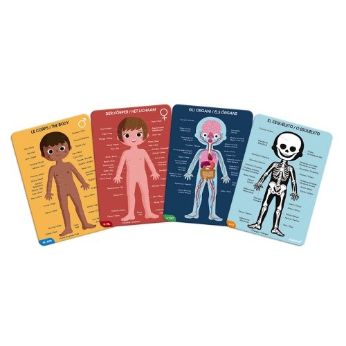 Puzzle Educativo Cuerpo Humano | JANOD  JANOD