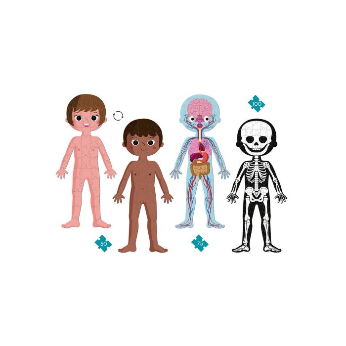 Puzzle Educativo Cuerpo Humano | JANOD  JANOD