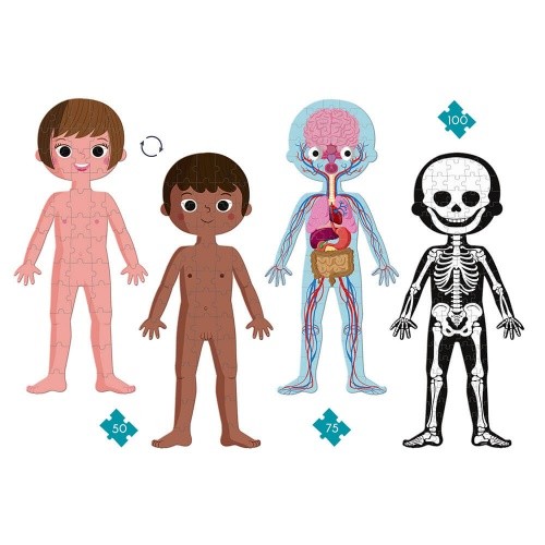 Puzzle Educativo Cuerpo Humano | JANOD  JANOD