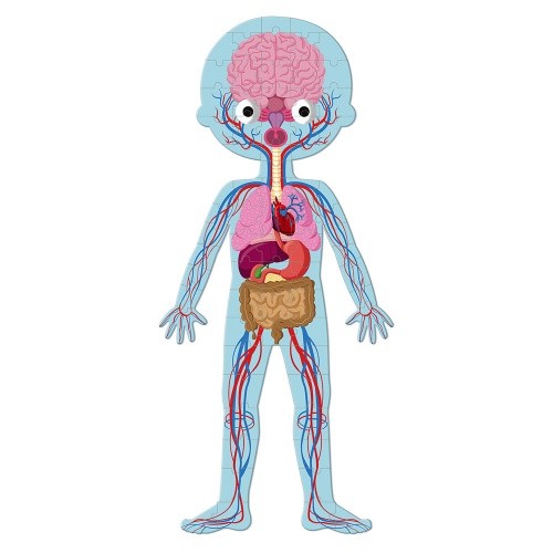 Puzzle Educativo Cuerpo Humano | JANOD  JANOD