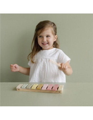 Xilòfon Rosa | LITTLE DUTCH