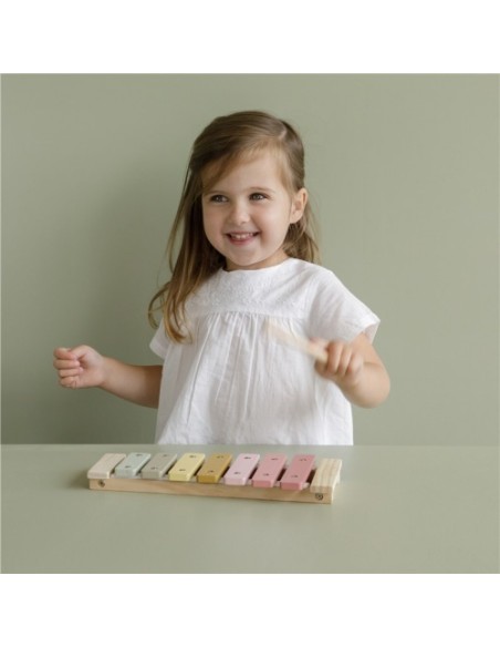 Xilòfon Rosa | LITTLE DUTCH