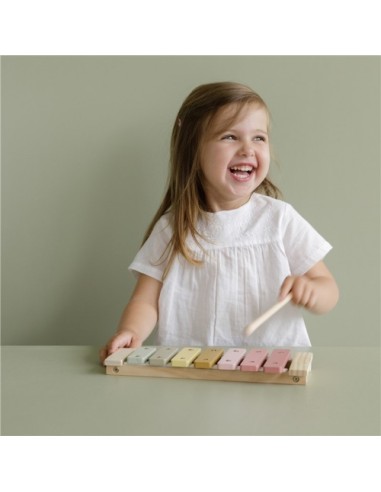 Xilòfon Rosa | LITTLE DUTCH