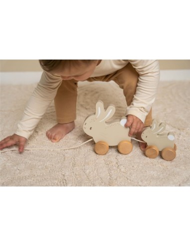 Arrastre Conejitos Baby Bunny | LITTLE DUTCH