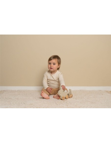 Arrastre Conejitos Baby Bunny | LITTLE DUTCH