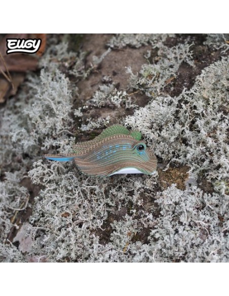 Kit Eugy Mantarraya | Modelismo 3D en Cartón Reciclado