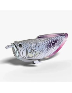 Kit Eugy Arowana Platejada | Modelisme 3D en Cartró Reciclat