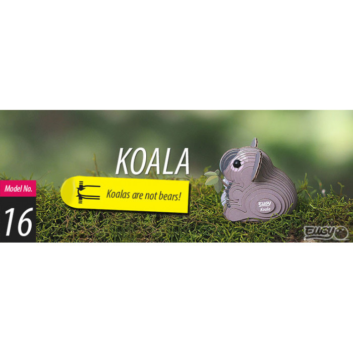 Eugy Koala | DODOLAND DODOLAND DODOLAND