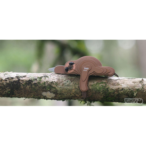 Eugy Oso Perezoso | DODOLAND DODOLAND DODOLAND