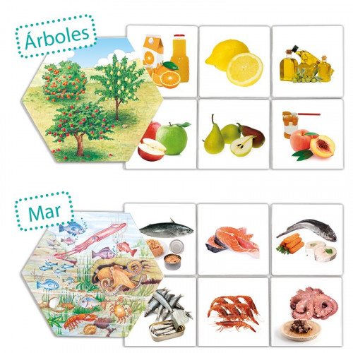 ¿De dónde vienen los alimentos? - AKROS AKROS AKROS