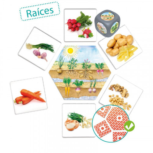 ¿De dónde vienen los alimentos? - AKROS AKROS AKROS